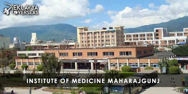 Institute of Medicine