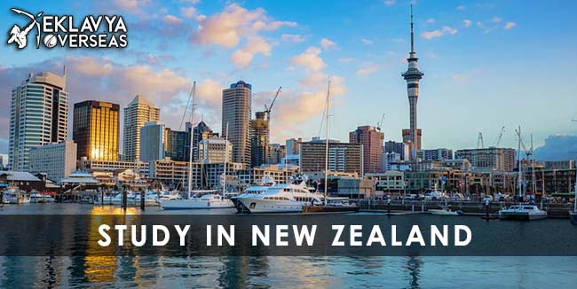 Study in New Zealand