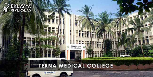 Terna Medical College
