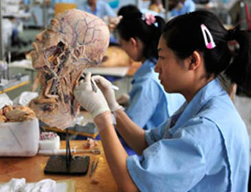 Anhui Medical University Training 