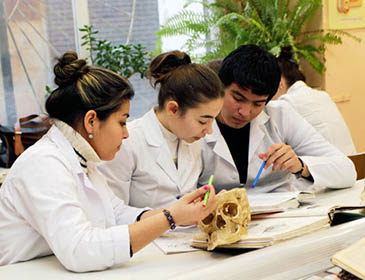 Belarussian State Medical University Practical Training