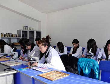 Medical education in Armenia