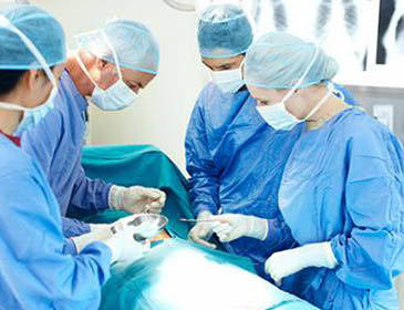 Perm State Medical University Hospital Training 