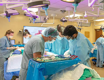 Southern Medical University Practical Training 