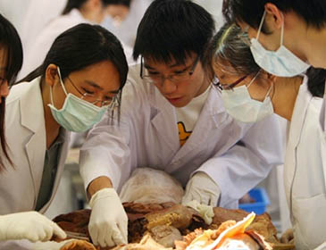 Xinjiang Medical University Practical Training